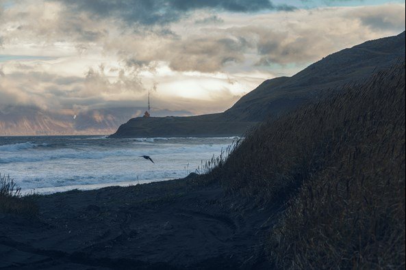 Dropi Islandija