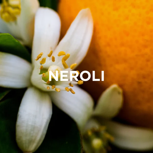Kvapioji žvakė Apelsinų žiedai (neroli)+ ramunėlės - Image 3